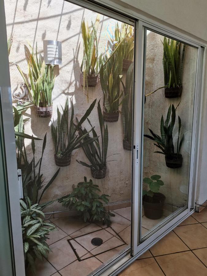 Casa Flor De Mayo Темиско Экстерьер фото